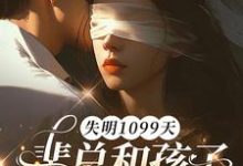 失明1099天，裴总和孩子我都不要了谢南枝最新完结小说，失明1099天，裴总和孩子我都不要了全本免费在线阅读-木头文学