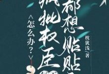 怎么办?疯批权臣每天都想贴贴我完整版小说,怎么办?疯批权臣每天都想贴贴我顾轻舟全章小说阅读-木头文学