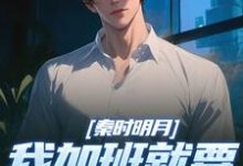秦时明月：我加班就要被扣经验值完整版小说，秦时明月：我加班就要被扣经验值赵子珏全章小说阅读-木头文学