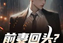 前妻回头？可惜，迟了！秦风最新完结小说，前妻回头？可惜，迟了！全本免费在线阅读-木头文学