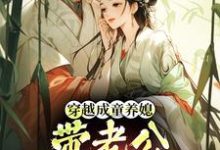 (全文)穿越成童养媳，带老公荒年发大财林十七全本免费在线阅读-木头文学