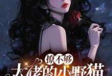 撩不够，大佬的小野猫又欲又嚣张推荐完结小说撩不够，大佬的小野猫又欲又嚣张(陆晨矅)免费小说全本-木头文学