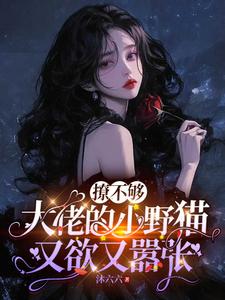 撩不够，大佬的小野猫又欲又嚣张最新章节阅读撩不够，大佬的小野猫又欲又嚣张(陆晨矅)试读更新章节