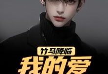 江书正竹马降临,我的爱瞬间扫地全本免费在线阅读-木头文学