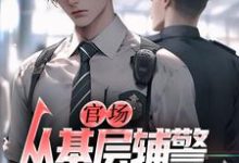 官场：从基层辅警开始崛起王初一完结小说推荐，官场：从基层辅警开始崛起全章小说阅读-木头文学