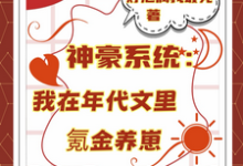 神豪系统：我在年代文里氪金养崽叶晓琳完结小说推荐神豪系统：我在年代文里氪金养崽全本书籍阅读-木头文学