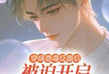 穿成恶毒反派后被迫开启修罗场最新章节阅读穿成恶毒反派后被迫开启修罗场(沈齐云)试读更新章节-木头文学