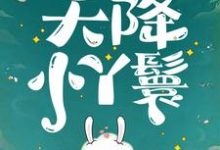 天降小丫鬟完整版小说，天降小丫鬟夏夏全章小说阅读-木头文学