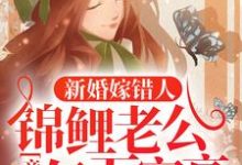 新婚嫁错人,锦鲤老公竟是亿万富豪(安浅)全章小说阅读-木头文学