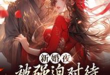 (全文)新婚夜被强迫对待,这叫不近女色?免费小说全本,谢临珩虞听晚试读更新章节-木头文学