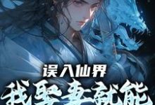 误入仙界，我娶妻就能天下无敌许世安试读更新章节误入仙界，我娶妻就能天下无敌许世安免费小说-木头文学