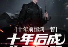 (全文)十年前惊鸿一瞥,十年后成生死同盟李飞全本免费在线阅读-木头文学