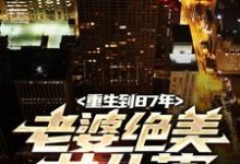 (全文)重生到87年，老婆绝美女儿萌免费小说全本，陆浩试读更新章节-木头文学