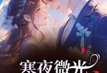 (全文)寒夜微光:她的逆袭人生热门小说排行榜,寒夜微光:她的逆袭人生袁小苔全章小说阅读-木头文学