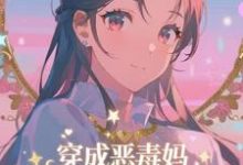 穿成恶毒妈，我氪金养出顶流娃最新完结小说穿成恶毒妈，我氪金养出顶流娃叶晓琳免费小说-木头文学