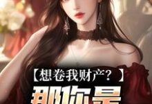 (全文)想卷我财产？那你是碰到铁板了（舒楹）全本书籍阅读想卷我财产？那你是碰到铁板了免费小说全本-木头文学