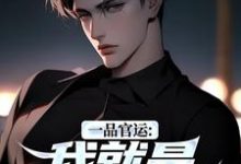 (全文)一品官运：我就是无冕之王（陈飞宇）全本书籍阅读一品官运：我就是无冕之王免费小说全本-木头文学