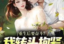 重生后要奋斗？我转头抱紧富婆大腿完整版小说重生后要奋斗？我转头抱紧富婆大腿(李子玉)全章小说阅读-木头文学