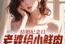 结婚纪念日，老婆给小鲜肉打榜应援（叶一帆）全本书籍阅读结婚纪念日，老婆给小鲜肉打榜应援完整版小说-木头文学