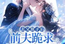 去父留子后，前夫跪求伺候我月子！林亦棠最新完结小说，去父留子后，前夫跪求伺候我月子！全本免费在线阅读-木头文学