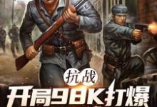 (全文)抗战：开局98K打爆大佐狗头热门小说排行榜，抗战：开局98K打爆大佐狗头林平安全章小说阅读-木头文学