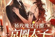 娇玫瑰过分撩,京圈太子底线全抛热门小说排行榜娇玫瑰过分撩,京圈太子底线全抛邓恩雅免费小说全本-木头文学