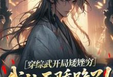 穿综武开局矮矬穷，我让天骄跪了！完整版小说，穿综武开局矮矬穷，我让天骄跪了！武直全章小说阅读-木头文学