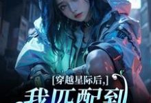 穿越星际后，我匹配到九个大冤种热门小说排行榜穿越星际后，我匹配到九个大冤种洛千免费小说全本-木头文学