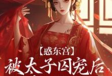 惑东宫：被太子囚宠后，她权倾天下（陆菀音）小说推荐惑东宫：被太子囚宠后，她权倾天下全章小说阅读-木头文学