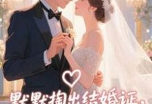 默默掏出结婚证,我的老公好奶最新完结小说默默掏出结婚证,我的老公好奶宋禧免费小说-木头文学