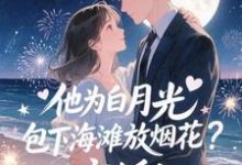 (全文)他为白月光包下海滩放烟花？离婚！霍宴州云初最新完结小说他为白月光包下海滩放烟花？离婚！免费阅读-木头文学
