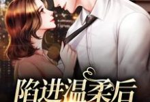 陷进温柔后,他宠上瘾了甘棠许应完结小说推荐陷进温柔后,他宠上瘾了全本书籍阅读-木头文学