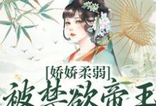 娇娇柔弱，被禁欲帝王强制囚宠宋泱裴慎完结小说推荐娇娇柔弱，被禁欲帝王强制囚宠全本书籍阅读-木头文学