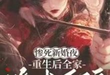 惨死新婚夜，重生后全家跪求原谅完整版小说，惨死新婚夜，重生后全家跪求原谅姜梨试读更新章节-木头文学