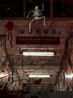 完结版《穿越被逼娶八房，八个娘子都扶墙》免费阅读