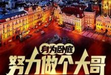 身为卧底，努力做个大哥不过分吧（白舟）全章小说阅读-木头文学
