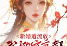 (全文)新婚遭流放，我搬空京都去逃荒热门小说排行榜，新婚遭流放，我搬空京都去逃荒桑晚柠全章小说阅读-木头文学