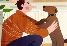 情字入骨三分小说完结版章节免费阅读-木头文学