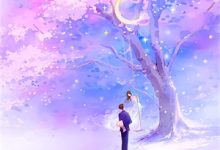 无言不忆流年免费阅读，无言不忆流年章节目录-木头文学