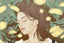 小说《偏宠:总裁的娇妻不好惹》章节免费阅读-木头文学