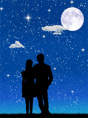 星落飞花时最新章节，星落飞花时免费阅读