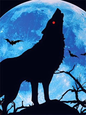 沈寒戈谢云辞小说完结版在线阅读，寒戈辞云向朝阳免费看