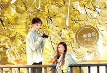 霸总影帝是我脑残粉江夏安陆北烈林红小说大结局免费试读-木头文学